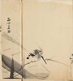 摜 chi06_4415_01_002.jpg
