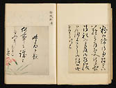 摜 chi06_4415_01_002.jpg