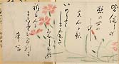 摜 chi06_4415_01_002.jpg